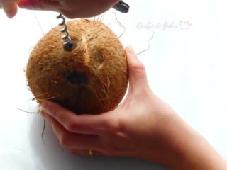come aprire cocco - individuare tre bucchetti