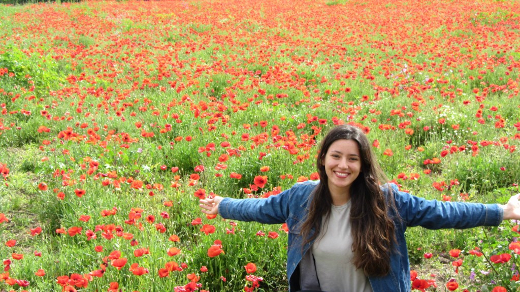 primavera-4-1024x575