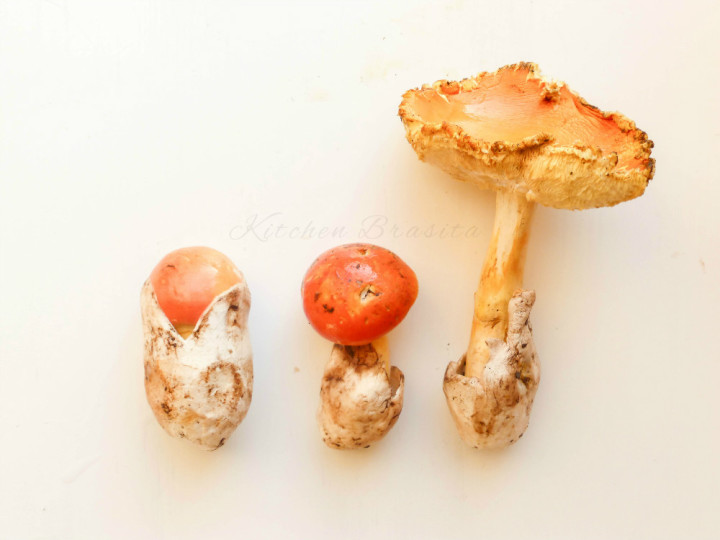 insalata di funghi ovuli