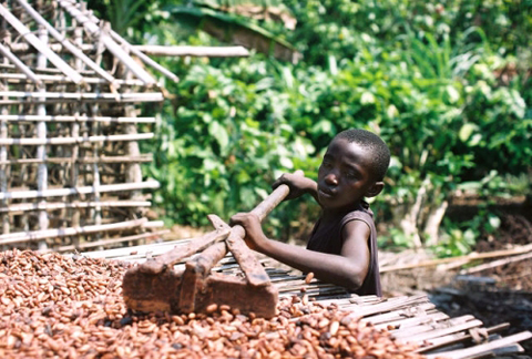 Ivory-Coast-Chocolate-Child-Labor-Slavery
