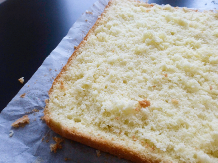 pan di spagna rettangolare perfetto (senza lievito)77