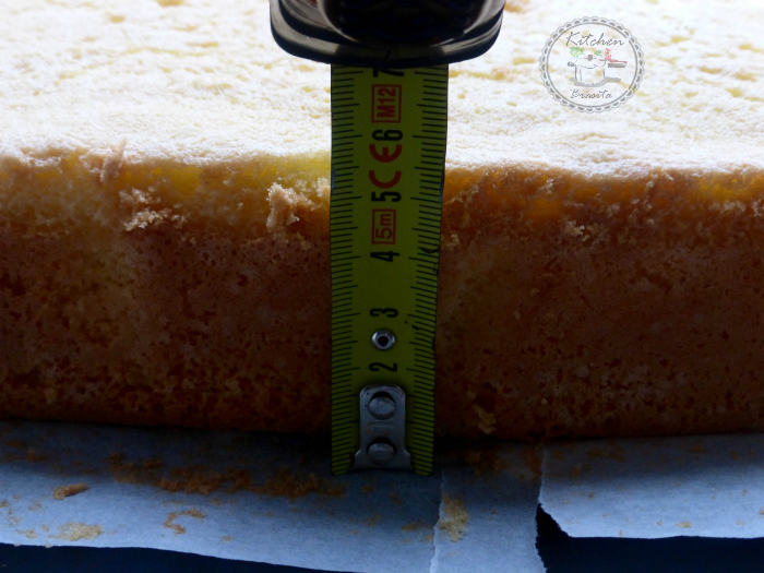 pan di spagna rettangolare perfetto (senza lievito)9
