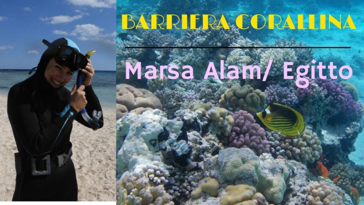 barriera-corallina-egitto sud mar rosso marsa alam