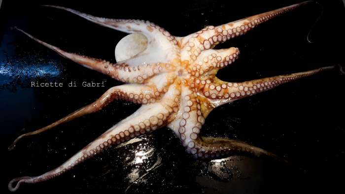 cucinare polpo lesso perfetto morbido
