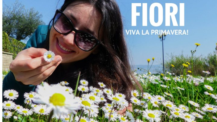 primavera 2017