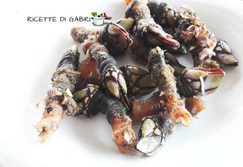 I Percebes come si preparano e come vanno serviti