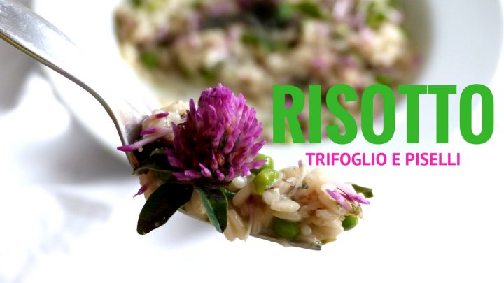ricette trifoglio rosso risotto
