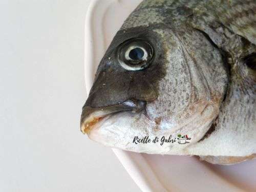 riconoscere il pesce fresco sarago
