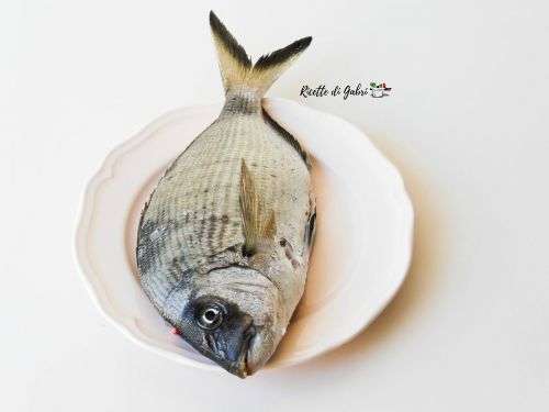 sarago mediterraneo fresco ricette pulire