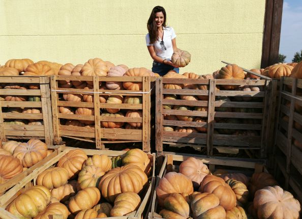 zucca ricetta facile