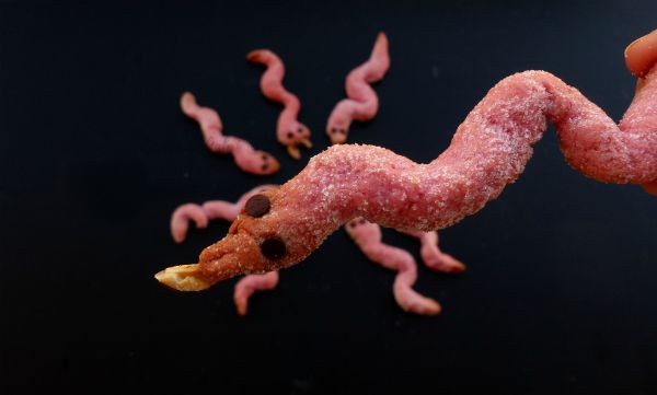 halloween cookies snake serpenti all alchermes