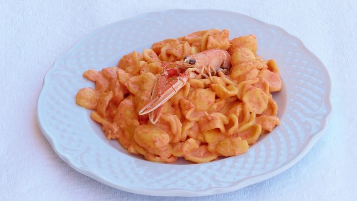 orecchiette crema di scampi