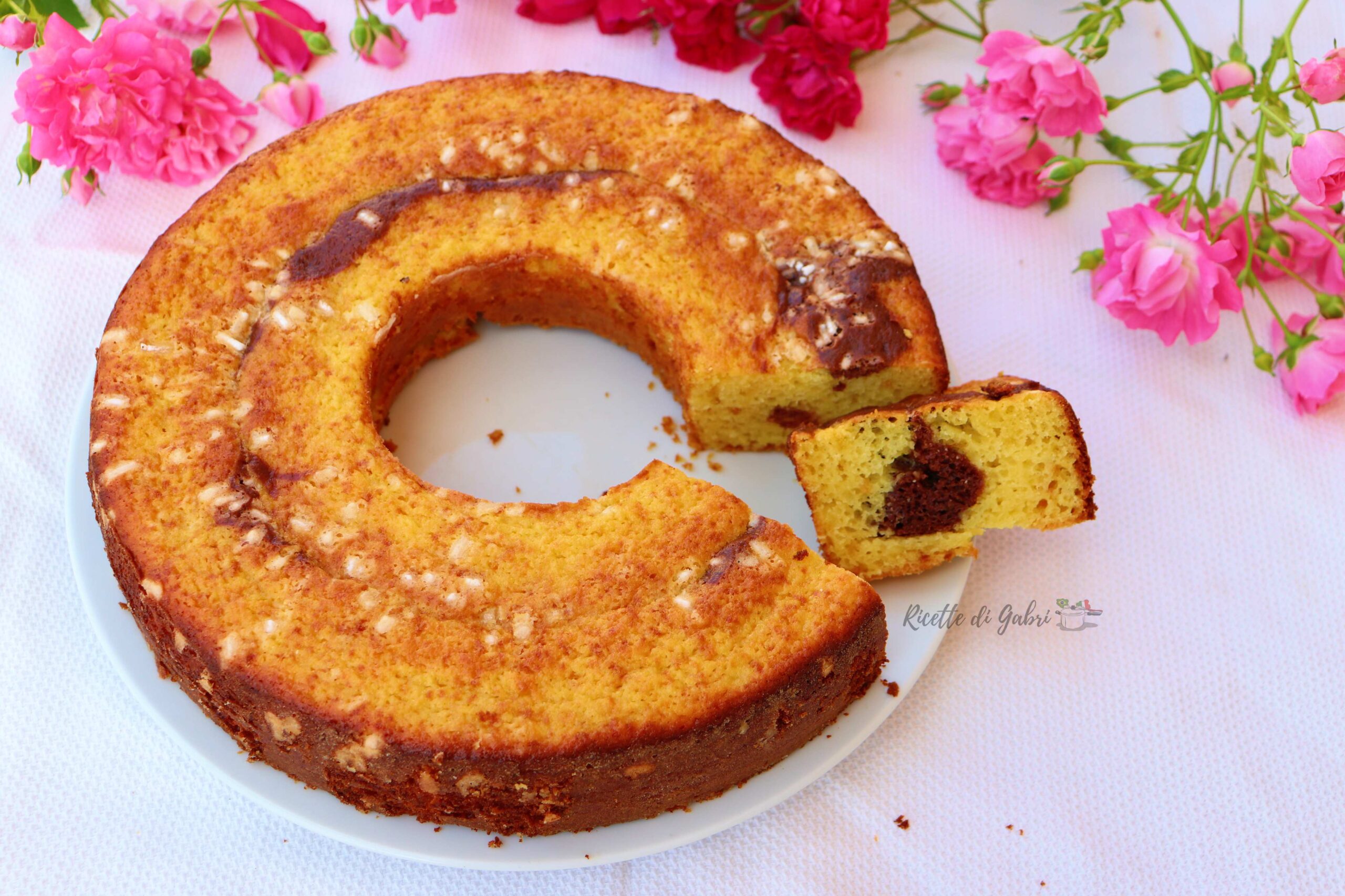 ciambella soffice ricotta e cioccolato ricetta senza bilancia gabri