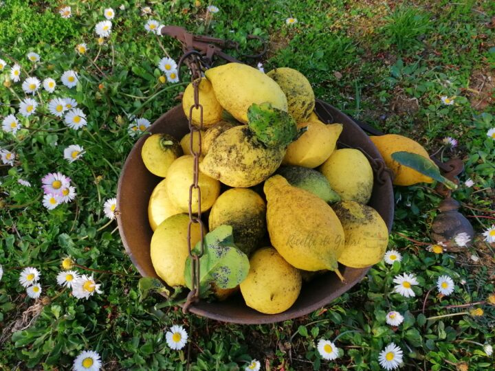 marmellata di limoni fatta in casa ricetta facile non amara di gabri