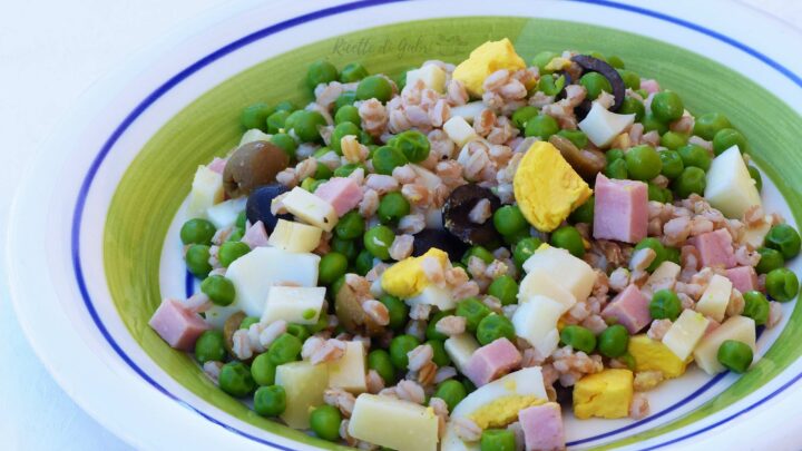 ricetta insalata di farro proteica light gabri