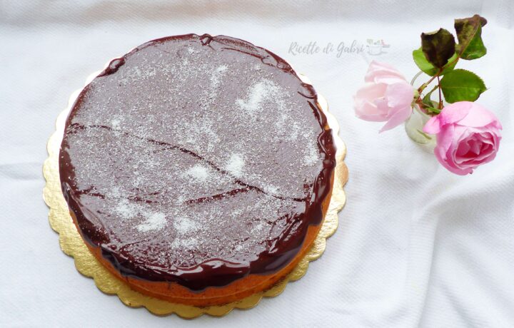torta soffice cocco e cioccolato ricetta veloce facile di gabri