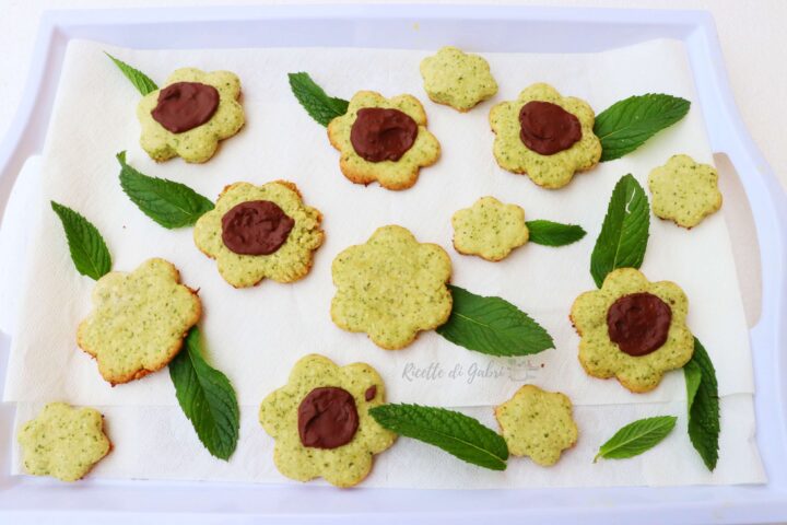ricetta biscotti menta cioccolato e cocco frolla senza burro e solo un uovo gabri