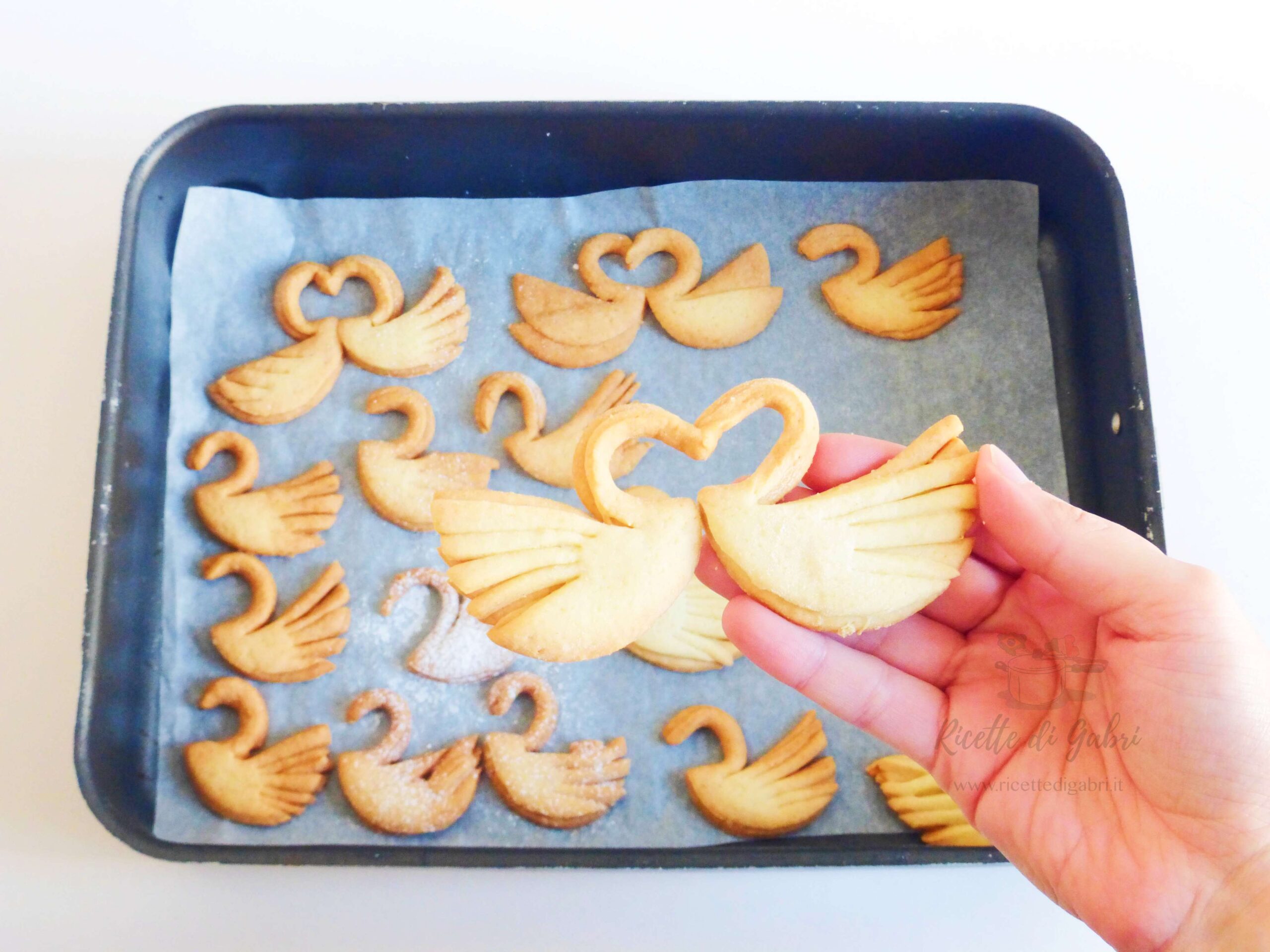 biscotti cigni di pasta frolla senza stampo ricetta facile di gabri