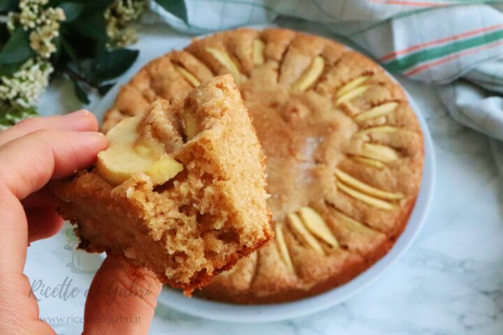 ricetta torta di mele fatta in casa con farina di farro ricetta facile veloce di gabri
