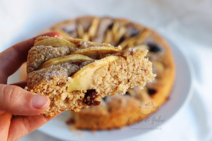 torta di mele con fiocchi d avena ricetta facile e veloce di gabri