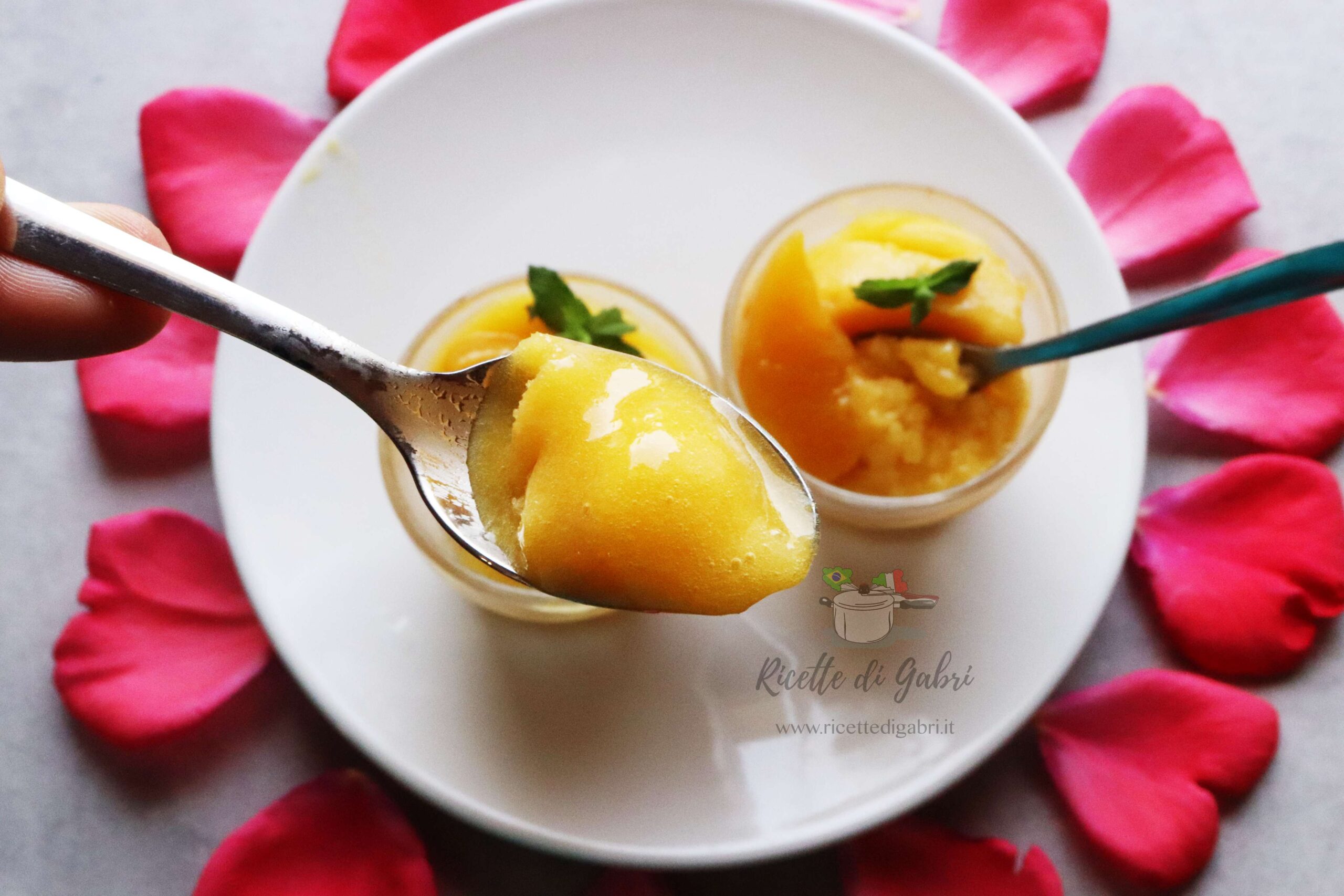 sorbetto alle pesche sciroppate ricetta facile veloce gabri