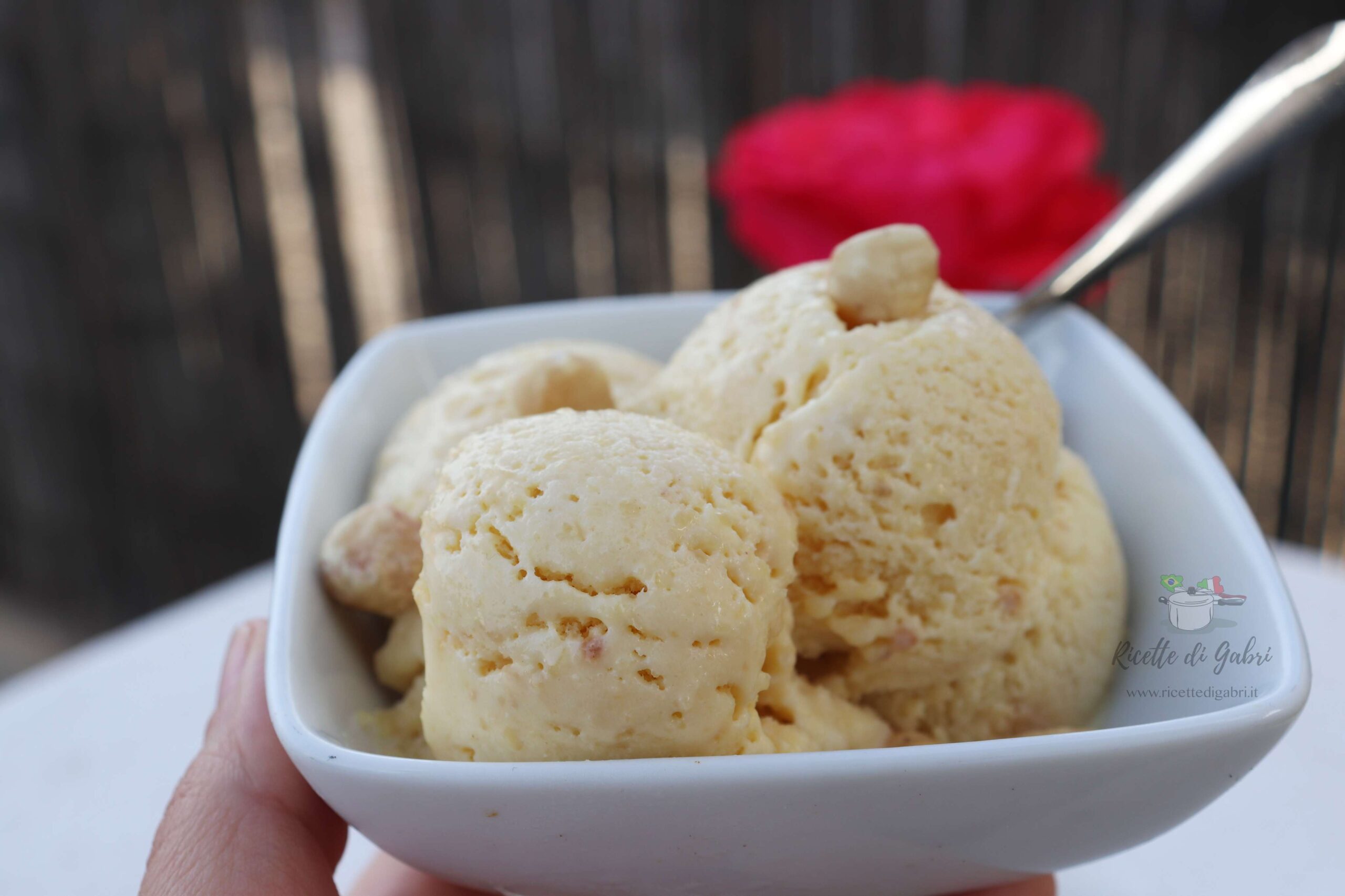 ricette gelato cremoso senza panna e senza gelatiera gelato alle nocciole gabri