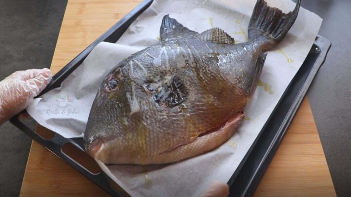 ricetta pesce balestra al forno secondo semplice di mare ricetta facile gabri pesce porco come cucinare