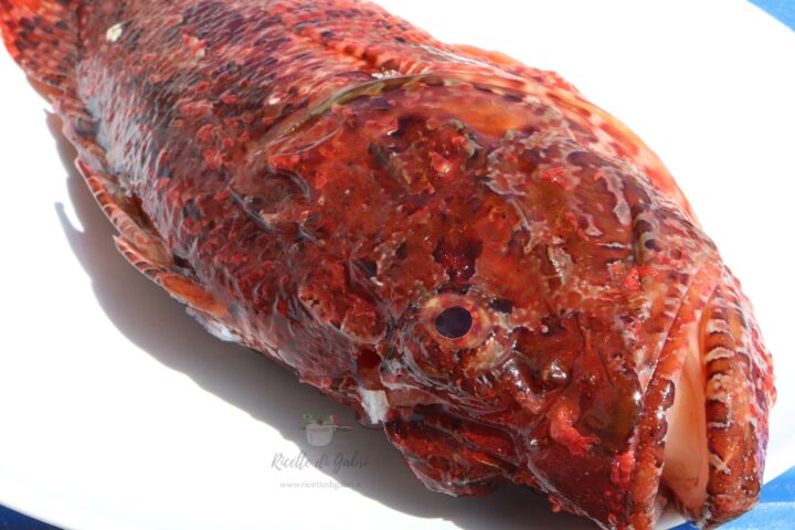 ricetta facile scorfano rosso al forno cartoccio pesce al limone gabri