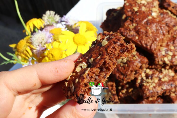 biscotti senza zucchero cioccolato e avena di gabri