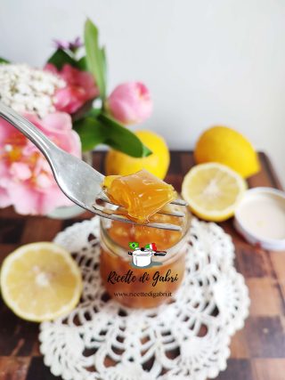 ricetta buccia di limoni canditi come conservare i limoni gabri