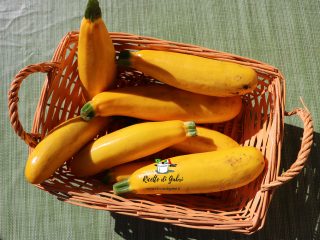 cous cous con le zucchine gialle e verdure miste in padella ricetta facile e veloce di gabri